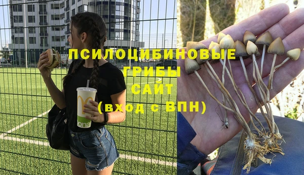 синтетический гашиш Вяземский