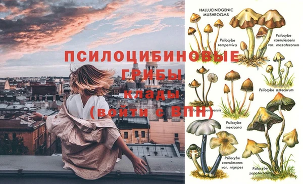 марки lsd Вязьма